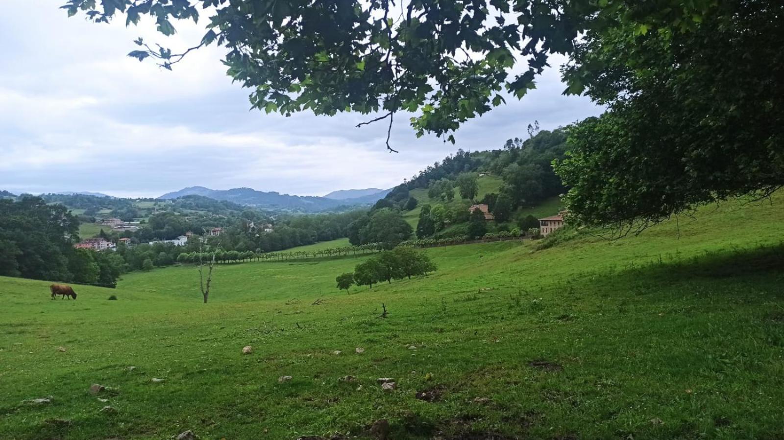 Casa Rural La Collada Sorribas  Ngoại thất bức ảnh